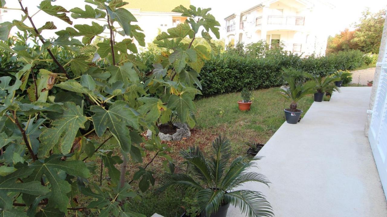 Apartments Jela Sveti Vid-Miholjice Εξωτερικό φωτογραφία